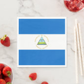 Nicaragua Flag Servet (Insitu)