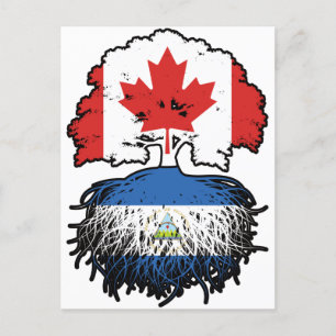 Nicaragua Nicaraguan Canadian Canada Tree Roots Briefkaart