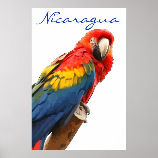 Nicaragua Scarlet Macaw Poster (Voorkant)
