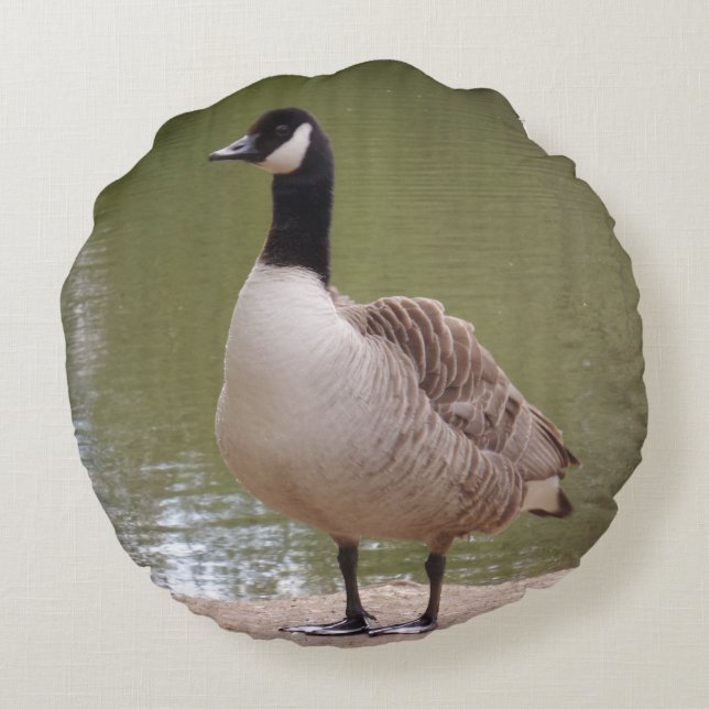 Nice Bird Round Pillow Rond Kussen (Achterkant)