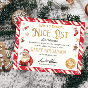Nice Certificaat Goedgekeurd Sinterklaas Poster