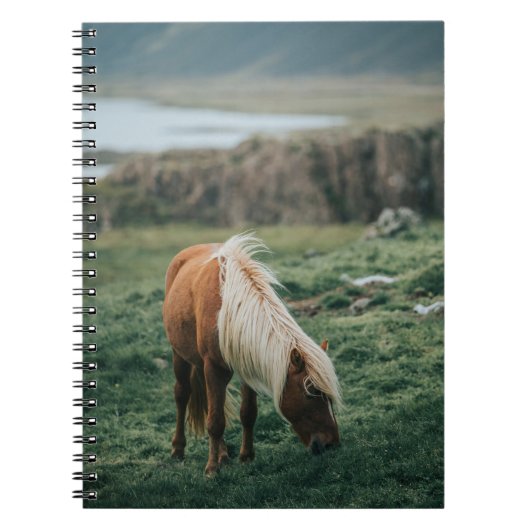 NICE HORSE NOTITIEBOEK (Voorkant)