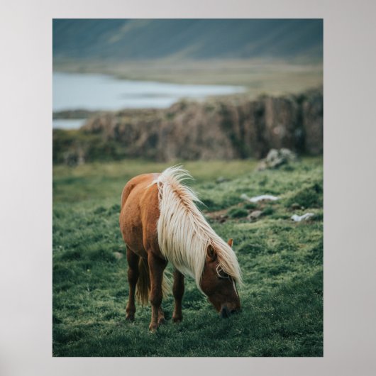 NICE HORSE POSTER (Voorkant)