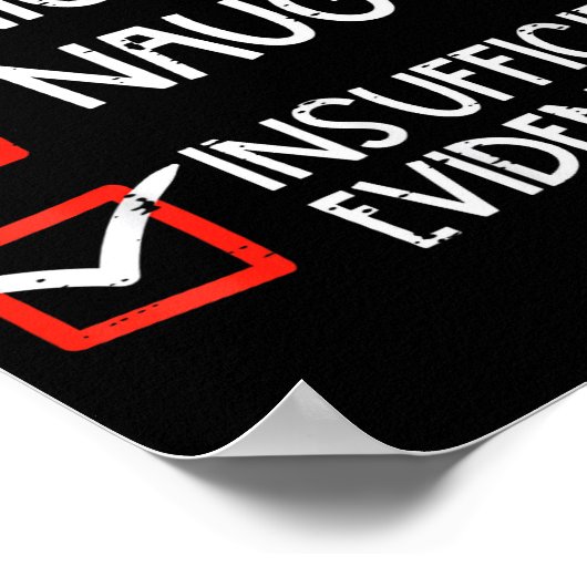 Nice Naughty Insufficient Evidence Christmas Fun X Poster (Hoek)