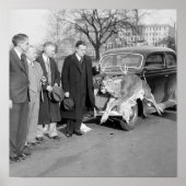 Nice Rack, 1938 Poster (Voorkant)