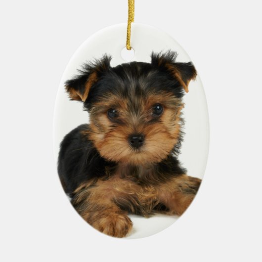 Nice yorkie keramisch ornament (Voorkant)