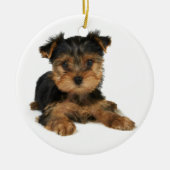 Nice yorkie keramisch ornament (Voorkant)