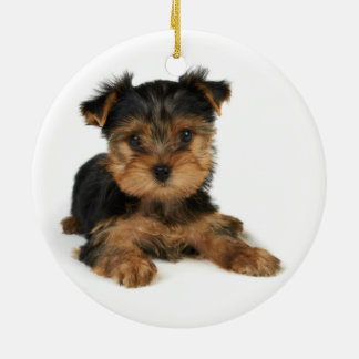 Nice yorkie keramisch ornament
