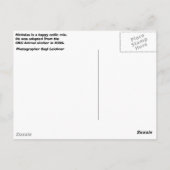 Nicholas Briefkaart (Achterkant)