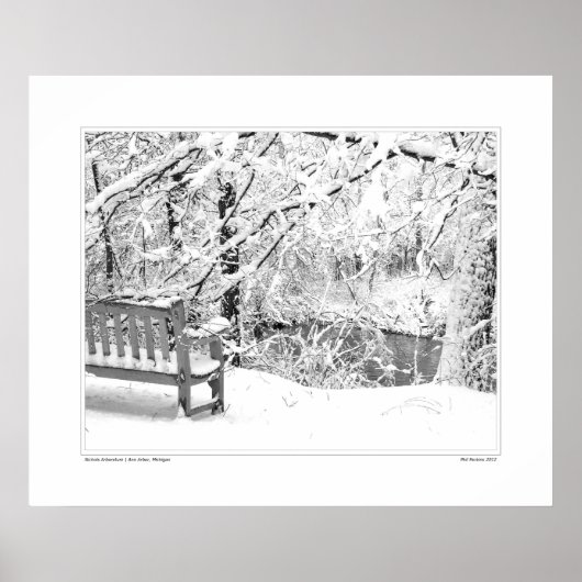 Nichols Arboretum #4 Poster (Voorkant)