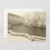 Nichols Arboretum Briefkaart (Voorkant / Achterkant)