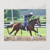 Nick Struik en Todd Pletcher Workouts Briefkaart (Voorkant)