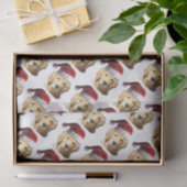 NICKEL-MET-A-PET-3 TISSUEPAPIER (Geschenk)