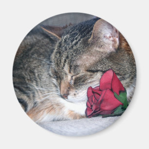 Nicky et un aimant de rose