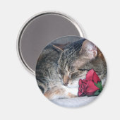 Nicky et un aimant Rose (Recto/Verso)