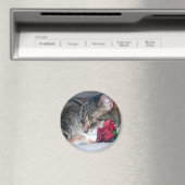 Nicky et un aimant Rose (In Situ (Lave-vaisselle))