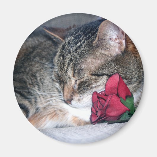 Nicky et un aimant Rose (Devant)