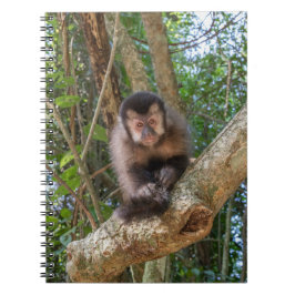 Nico Spiral Photo Notebook Notitieboek