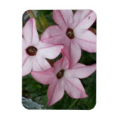 Nicotinia Star Flowers Magneet (Verticaal)