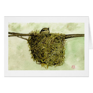 Nid de Parula du nord