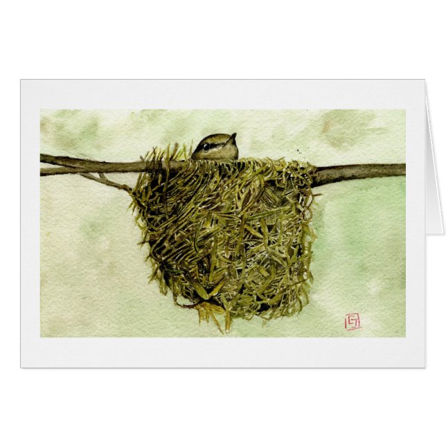 Nid de Parula du nord (Devant horizontal)