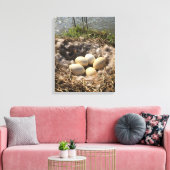 Nid d'oie avec oeufs sur toile (Insitu(Salon))
