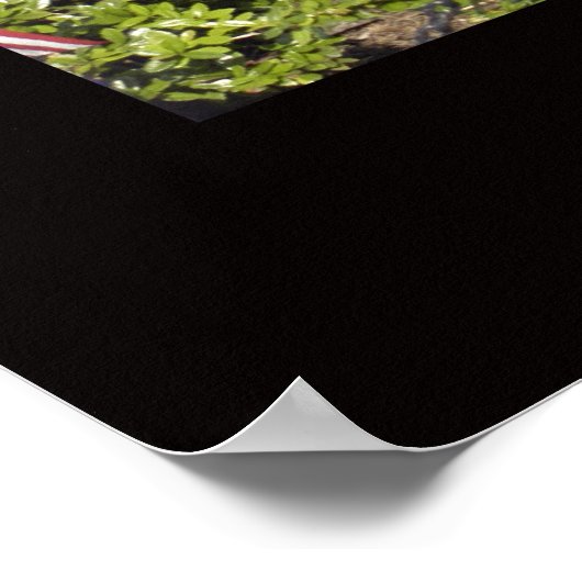 Niemand komt ooit terug uit Vietnam Poster (Hoek)