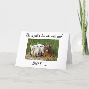 NIEMAND MIST JE ZOALS "WIJ" KAART