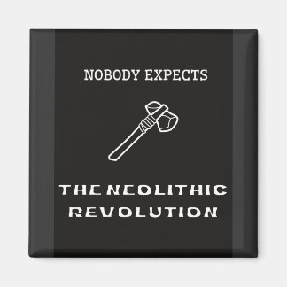 Niemand verwacht de neolithische revolutie magneet