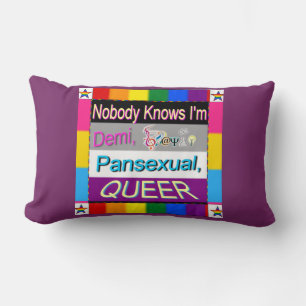 Niemand weet dat ik Demi Sapio Pansexual QUEER ben Kussen