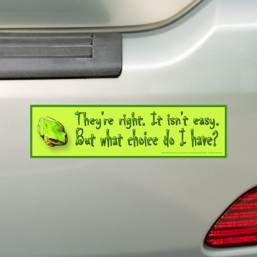 Niemand zei dat het makkelijk zou zijn... bumpersticker (Op auto)