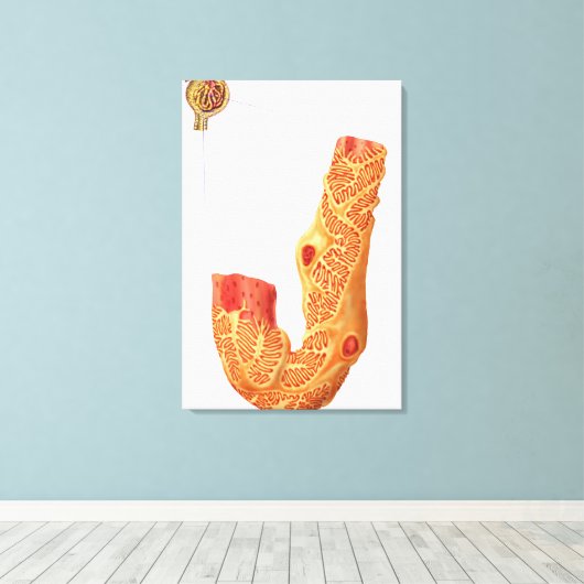 Nierbeschadiging en het filtratiemembraan canvas afdruk (Insitu (Houten vloer))