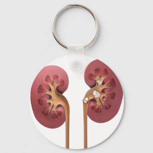 nieren sleutelhanger