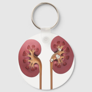 nieren sleutelhanger