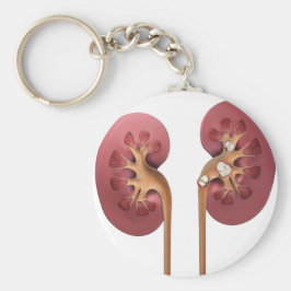 nieren sleutelhanger