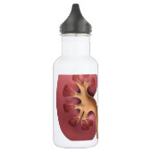 nieren waterfles (Links)
