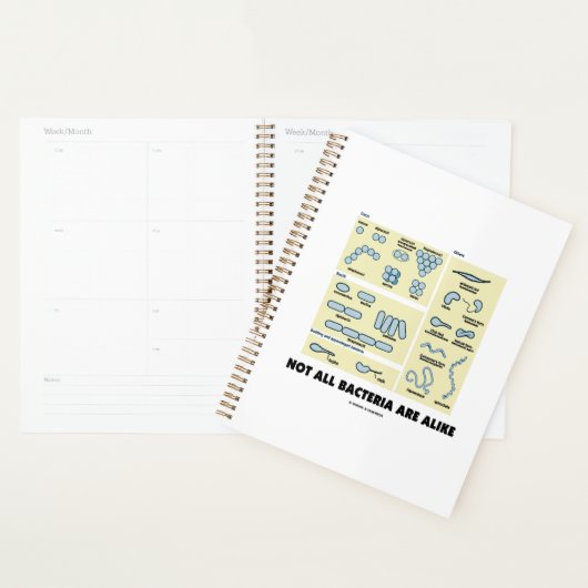 Niet alle bacteriën lijken op bacteriële morfologi planner (Display)