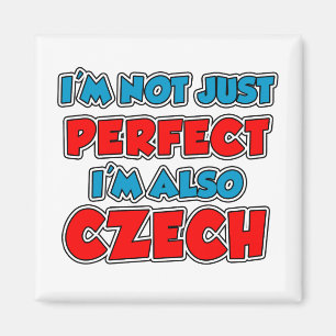 Niet alleen perfecte Tsjechische Magnet Magneet