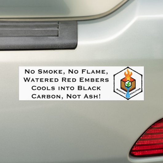 Niet Ash! Bumpersticker (Op auto)