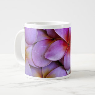 Niet beschikbaar, VS, Maui, Hawaï. Roze Plumeria b Extra Grote Beker