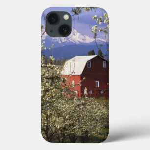 Niet beschikbaar, VS, Oregon, Hood River County. R iPhone 13 Hoesje