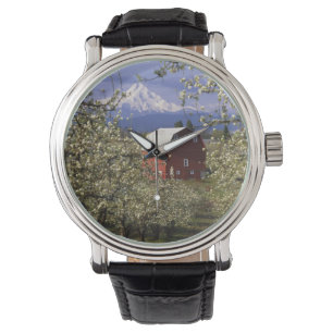 Niet beschikbaar, VS, Oregon, Hood River County. R Horloge