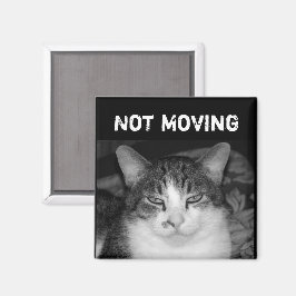 "Niet Bewegend" Crabby Cat Magnet Magneet