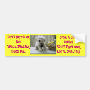 NIET BREED OF KOPEN! ADOPT BUMPERSTICKER