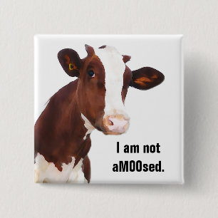 Niet geamuseerd - Funny Cow Joke Vierkante Button 5,1 Cm