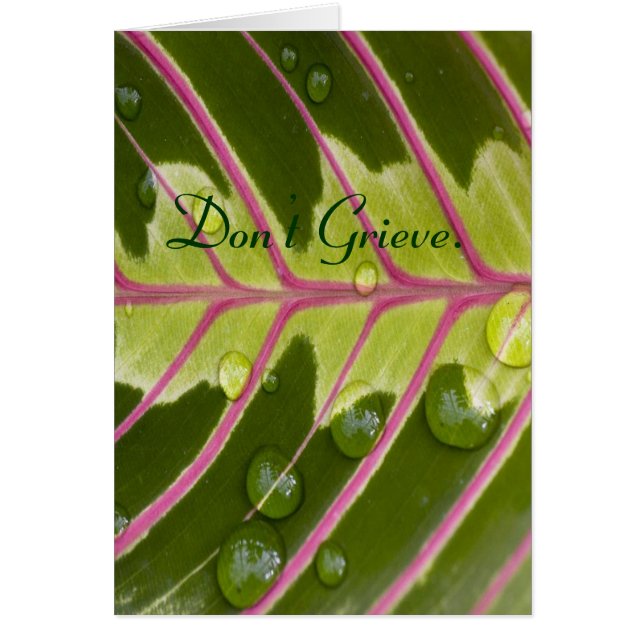 Niet Grieve. (Voorkant)