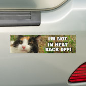 Niet in de hitte, terug van Calico Cat Meme Bumpersticker (Op auto)