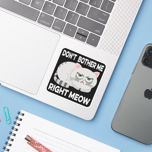 NIET JUISTE MEOW - Grappig Lazy Cat Sticke Sticker (Laptop met iPhone)