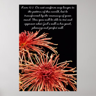 Niet meer conform poster