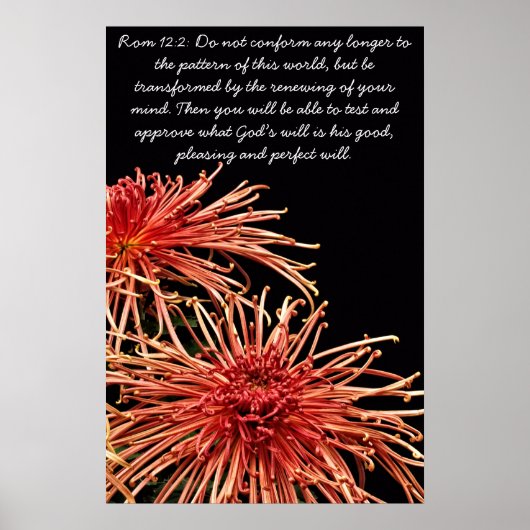 Niet meer conform poster (Voorkant)